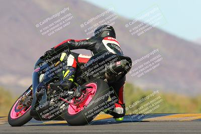 media/Feb-04-2023-SoCal Trackdays (Sat) [[8a776bf2c3]]/Turn 9 Backside (145pm)/